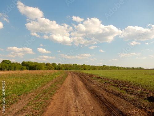 road in the field