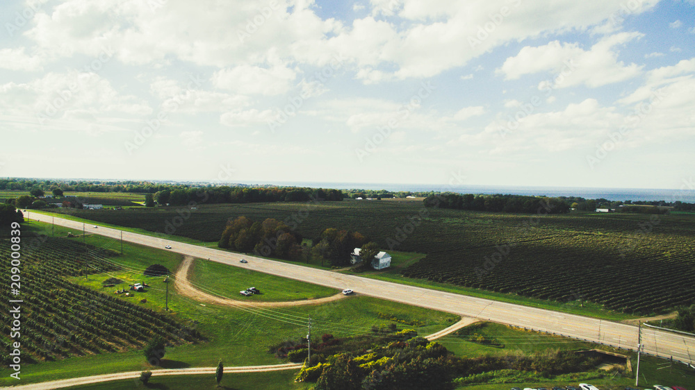 Countryside Vineyard