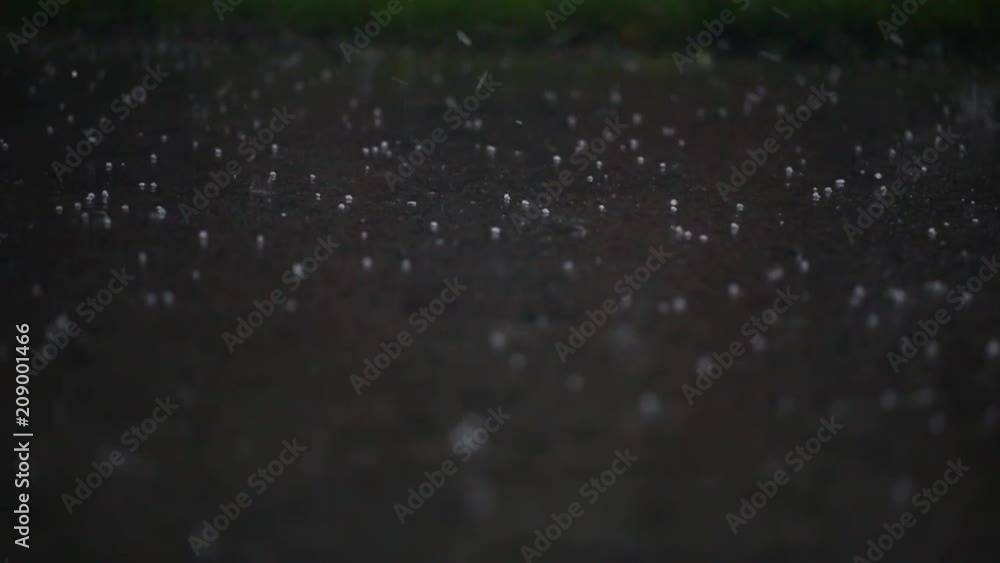 Wet Asphalt With Grass in Autumn During a Thunderstorm and Hail Falling Outdoor Wet Asphalt With Grass in Autumn During a Thunderstorm and Hail Falling Outdoor
