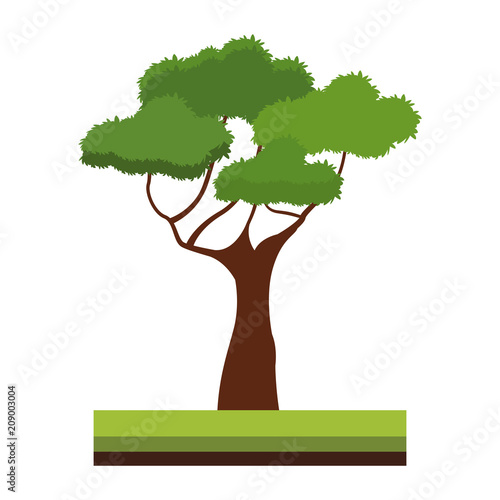 Tree on ground vector illustration graphic design