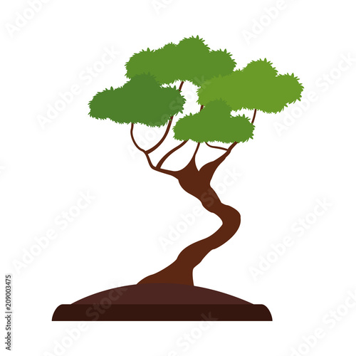 Tree on ground vector illustration graphic design