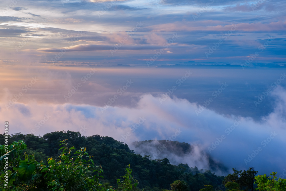 Fototapeta premium morning the cold weather is make floating fog on the mountain of mist slow floating fog blowing cover on the top of mountain 