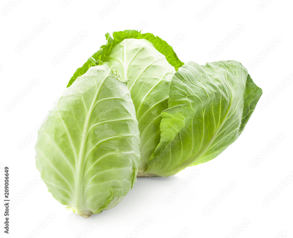 pointed cabbage isolated on white background pointed cabbage isolated on white background