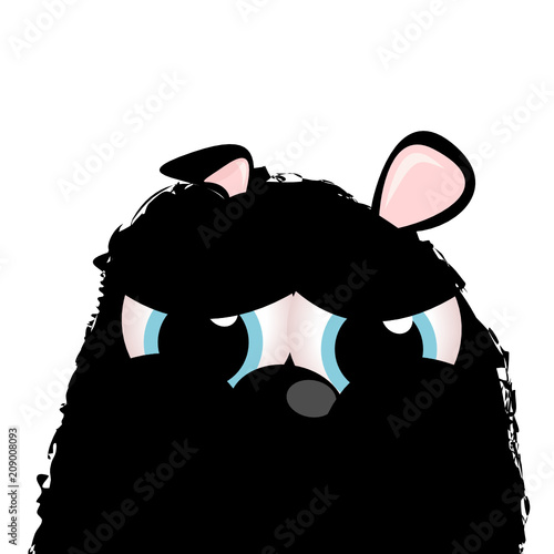 Böser Bär
