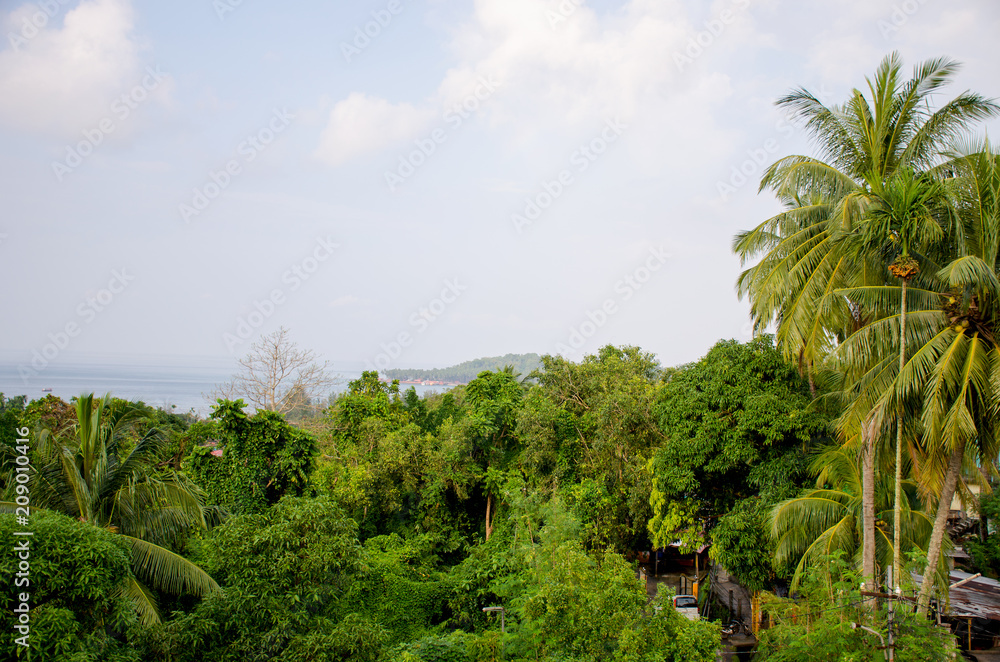 Beautiful landscape of tropical plants of the Andaman Sea to Port Blair India
