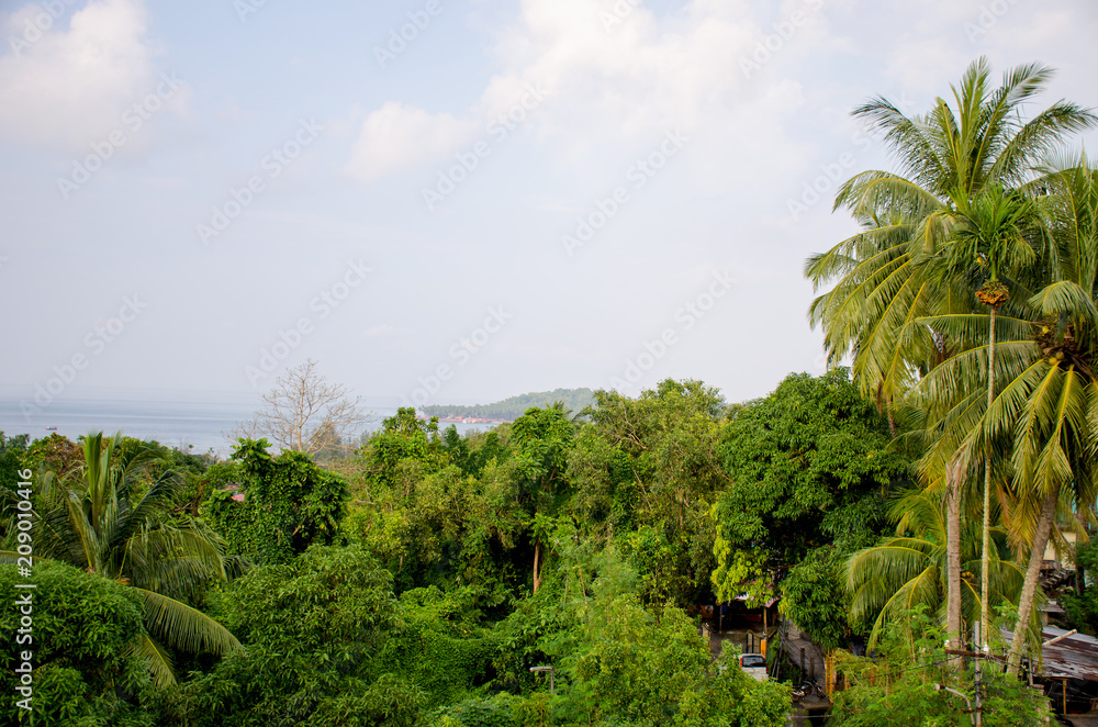 Beautiful landscape of tropical plants of the Andaman Sea to Port Blair India

