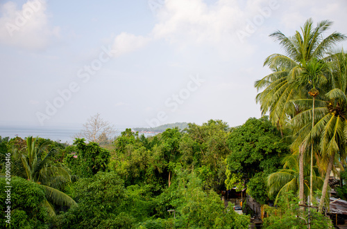 Beautiful landscape of tropical plants of the Andaman Sea to Port Blair India 