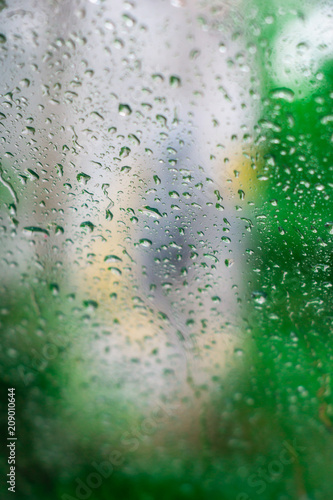 Morning rain in the spring forest.Selective focus.Background.