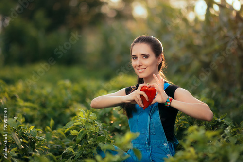 Obraz na plátně Female Gardener Picking Fresh Organic Red Peppers