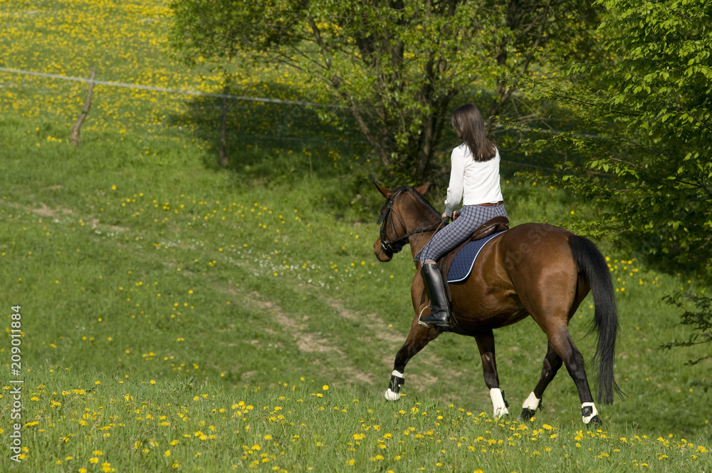 horsemanship horsemanship