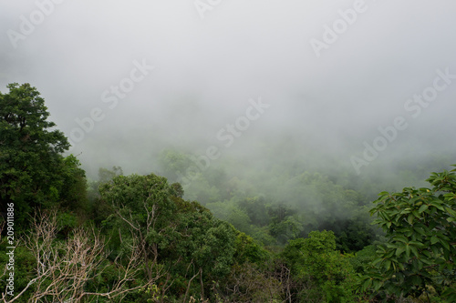 Mist at tropical rain forest and mountains © khlongwangchao
