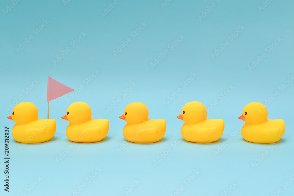 Leadership concept, rubber ducks following the leader Leadership concept, rubber ducks following the leader