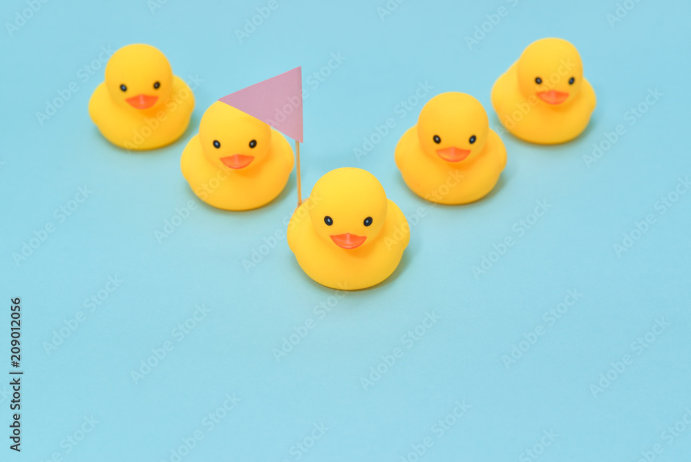 Leadership concept, rubber ducks following the leader Leadership concept, rubber ducks following the leader