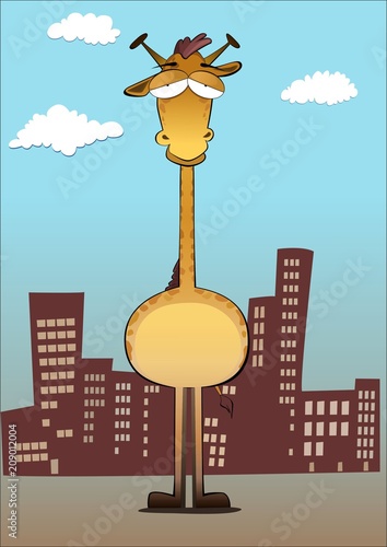 Fotografi giraffe