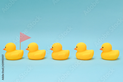 Fotografie Leadership concept, rubber ducks following the leader