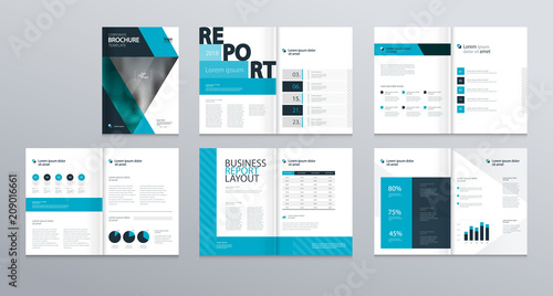 Design layout template  for comany profile ,annual report with cover, brochures, flyers, presentations, leaflet, magazine,book and and vector a4 size for editable.
