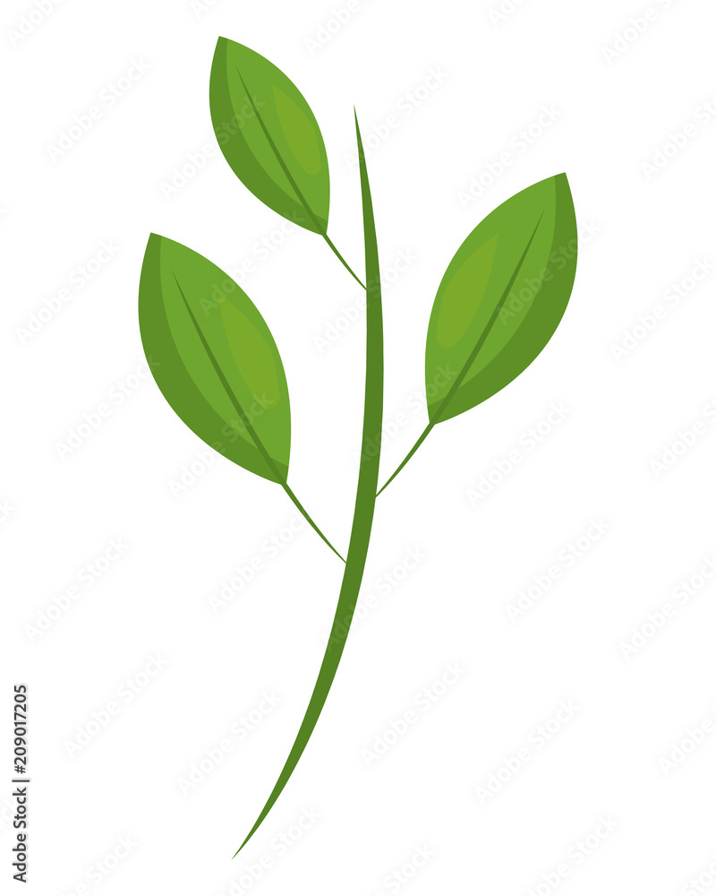 green branch leaves natural foliage vector illustration