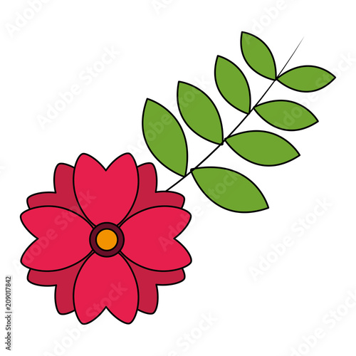 flower natural leaves decoration image vector illustration