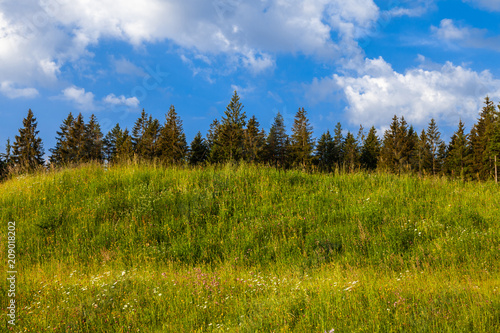 Schwarzwaldpanorama