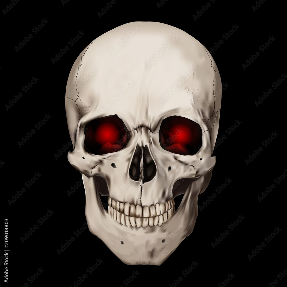 Fototapeta premium Human realistic skull with burning eyes. Black background. Anatomy vector illustration.