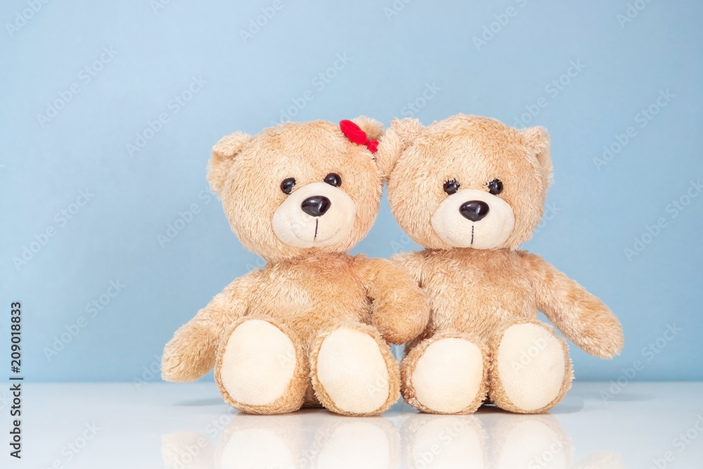 Obraz premium Two teddy Bear sitting on a white table and blue background.