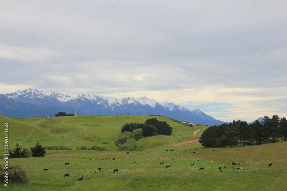 Kaikoura Mountains, New Zealand