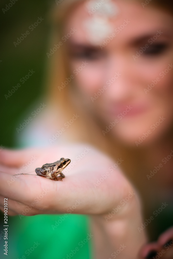 close up view of Quiet Small frog sitting on woman's hand. woman looking on it