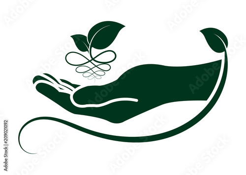 leaf in hand icon