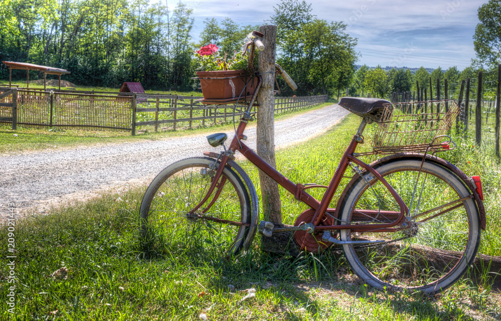 bike brings flowers in the country lane