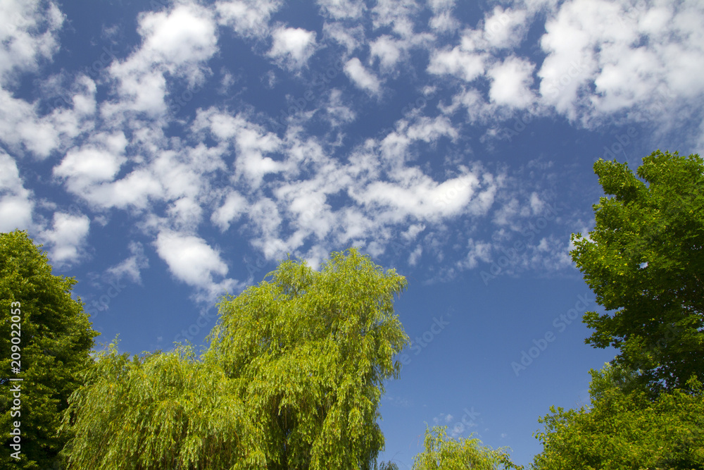 Wolken Altocumulus floccus Wolken Altocumulus floccus