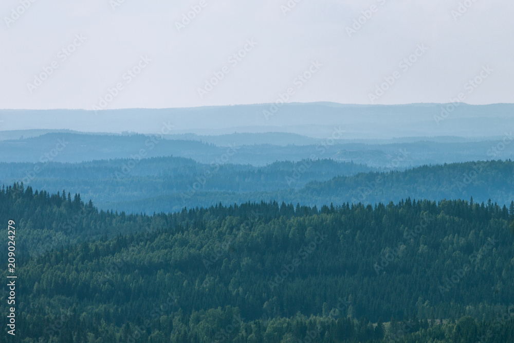 View to beautiful forest from hill, Koli National Park, Finland - obrazy, fototapety, plakaty 