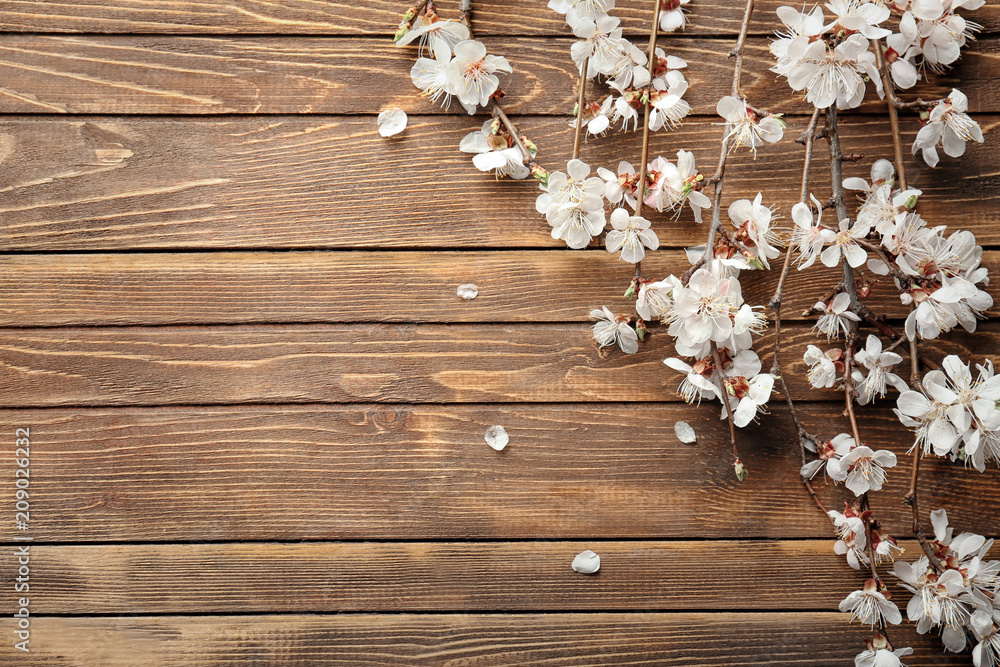Beautiful blossoming branches on wooden background Beautiful blossoming branches on wooden background