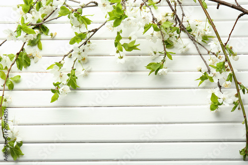 Beautiful blossoming branches on white wooden background © Pixel-Shot