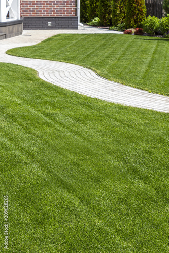 Beautiful evenly trimmed lawn in the backyard of a private house.