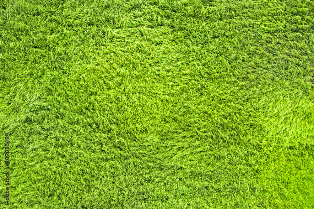 Perfect green lawn, background, texture Perfect green lawn, background, texture