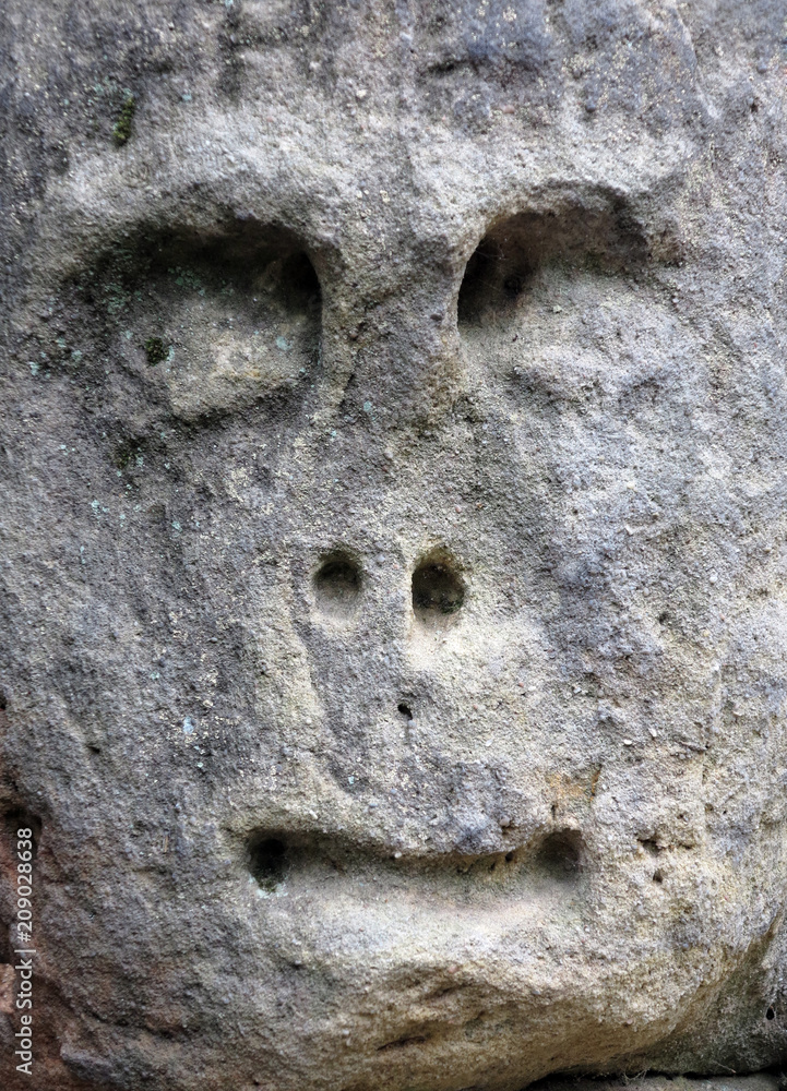 Spooky Stone Face
