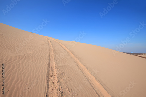 Quadro em tela The desert under the blue sky