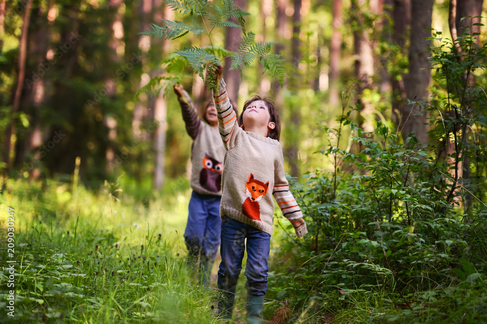 Two boys in similar sweaters walk in the woods. Summer in the forest with fern Two boys in similar sweaters walk in the woods. Summer in the forest with fern
