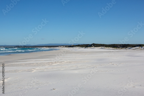 White sand beach at The Bay of Fires  Tasmania  Australia