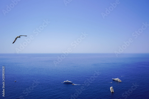 Blue Life 