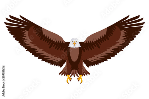 american eagle open wings bird vector illustration © Gstudio