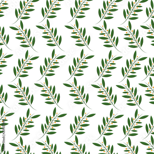branches natural seeds botanical design background vector illustration