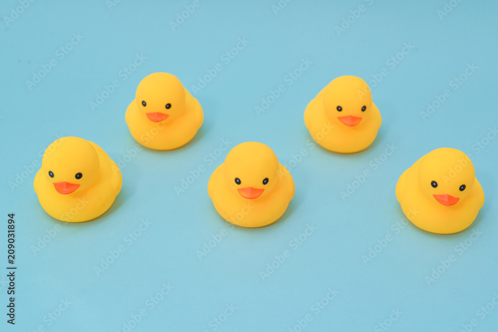Discipline concept, rubber ducky are lining up facing same direction Discipline concept, rubber ducky are lining up facing same direction