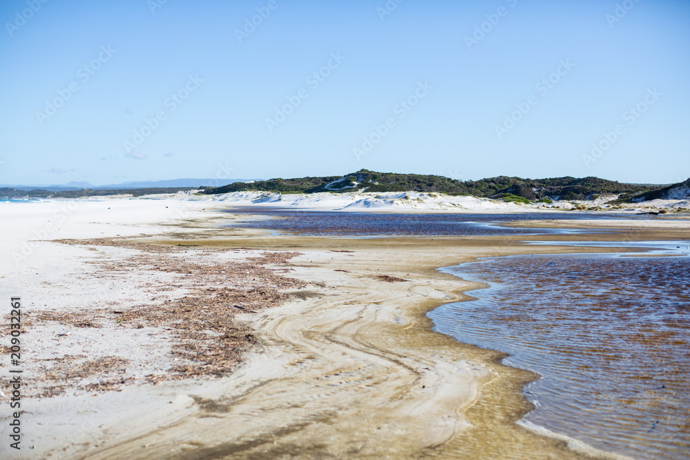 White sand and seaweed at The Bay of Fires, Tasmania, Australia White sand and seaweed at The Bay of Fires, Tasmania, Australia
