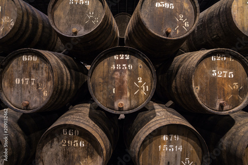 Fototapeta Row of wooden porto wine barrels in wine cellar Porto, Portugal.