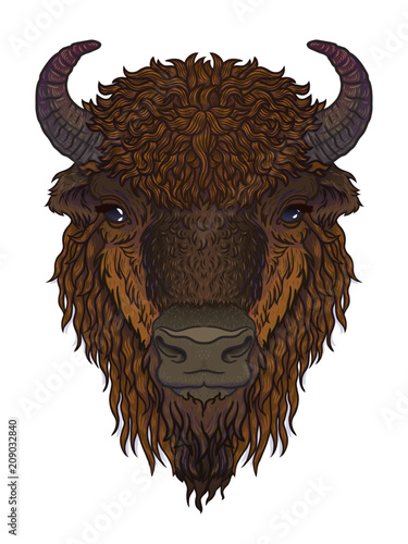 european brown zubr buffalo bison animal isolated on white background. Vector art illustration for men, boys, clothes