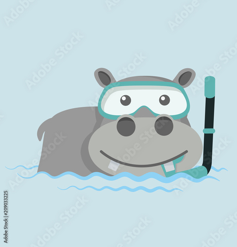 Fototapeta Naklejka Na Ścianę i Meble -  Hippo Snorkeling in water
