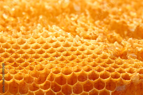 Honeycomb cells