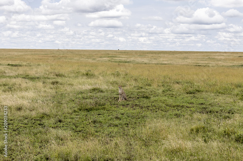 Serengeti National Park