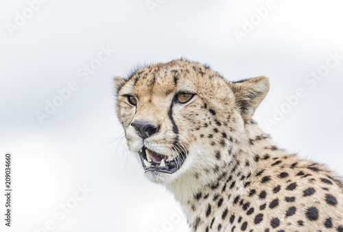 Serengeti National Park